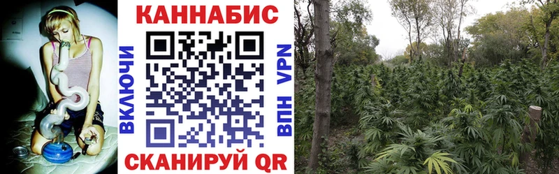 МЕГА рабочий сайт  Новомичуринск  Шишки марихуана план 